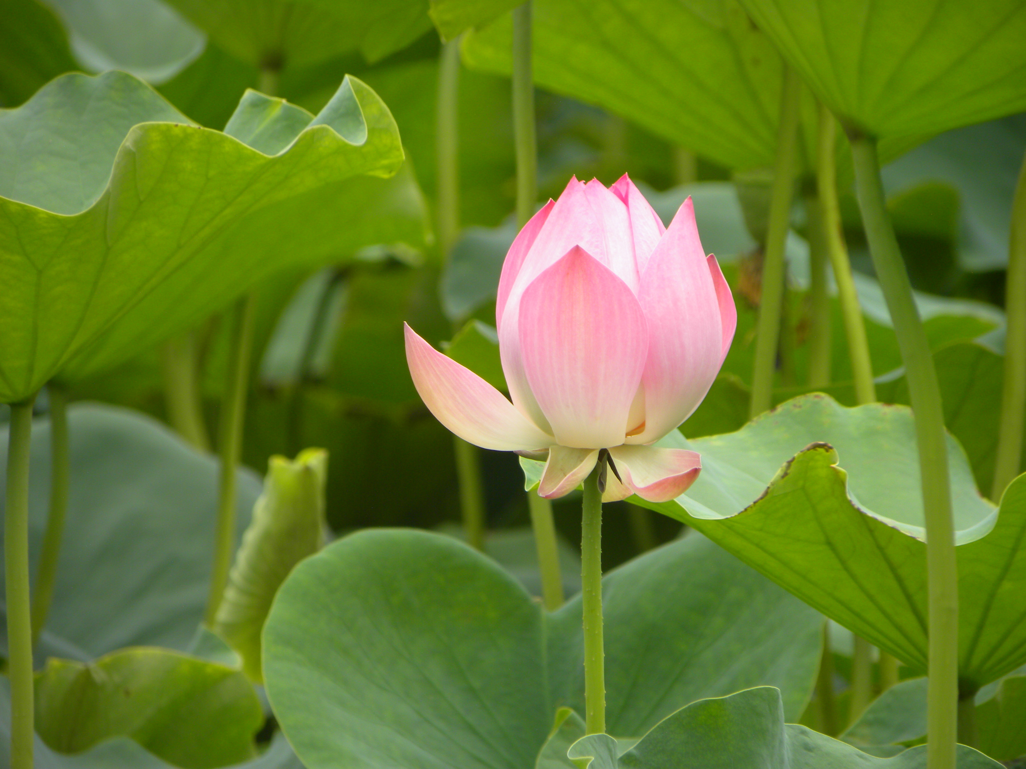 DSCN8651.JPG