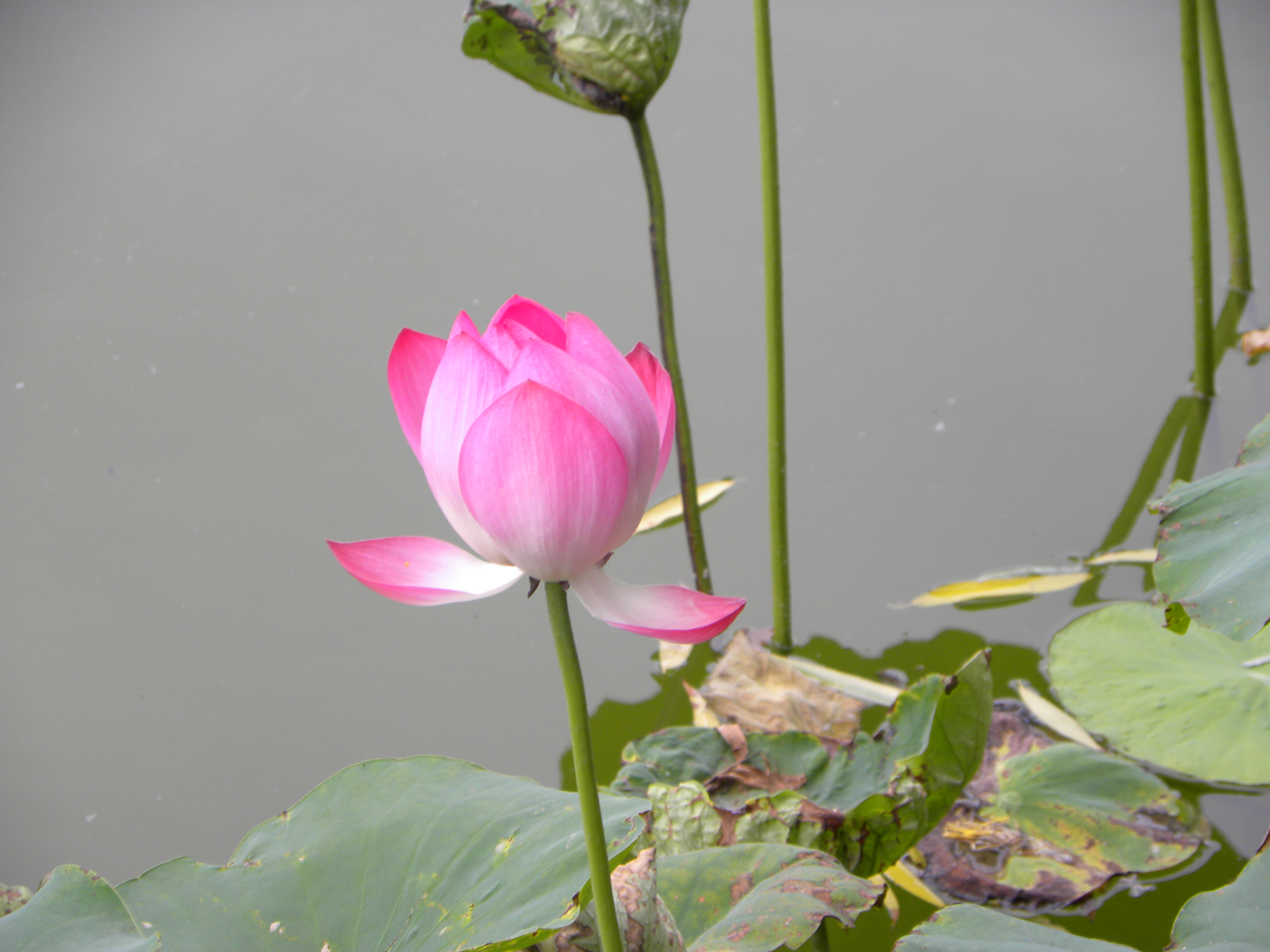 DSCN8969.JPG