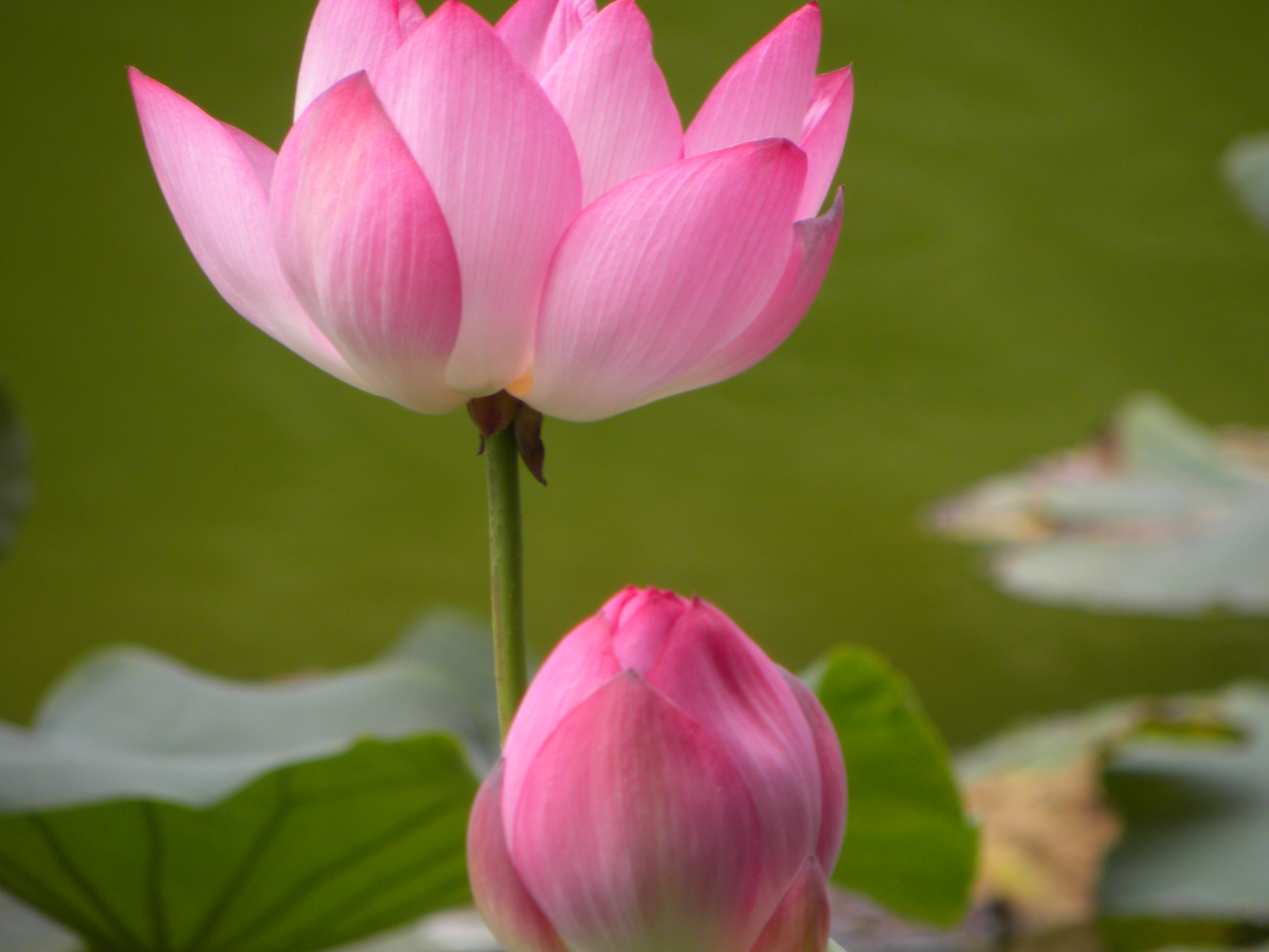 DSCN9014.JPG