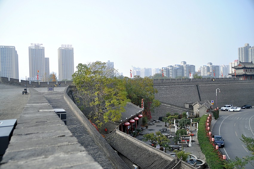 DSC_0028_conew1.jpg