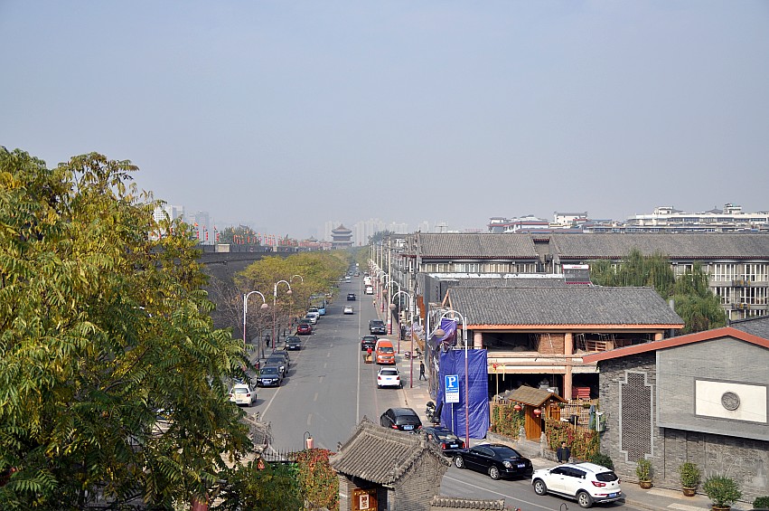 DSC_0032_conew1.jpg