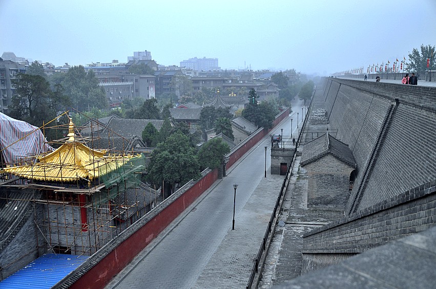 DSC_0210_conew1.jpg