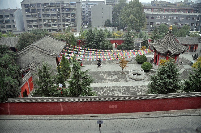 DSC_0215_conew1.jpg
