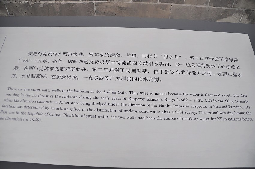 DSC_0254_conew1.jpg
