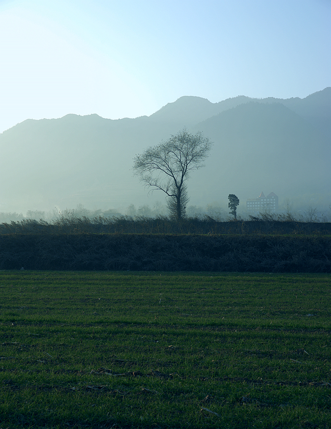 _DSC8159_副本.jpg