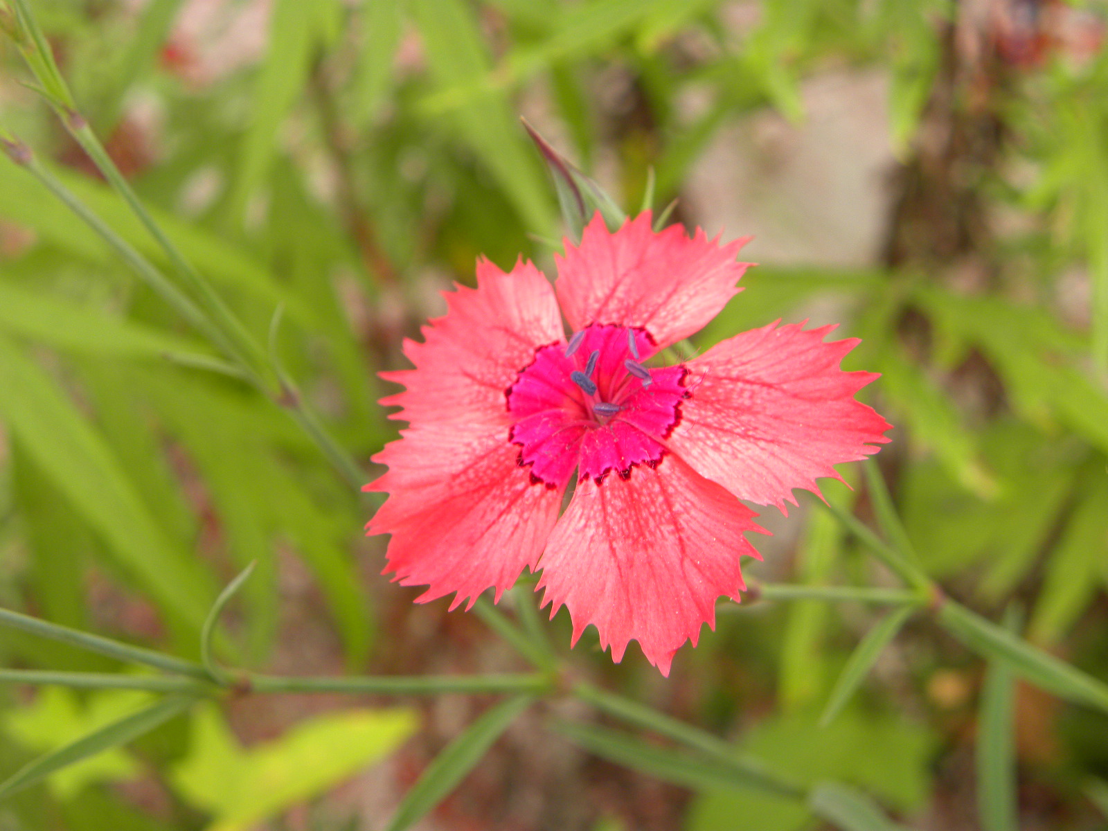 DSCN2901.JPG