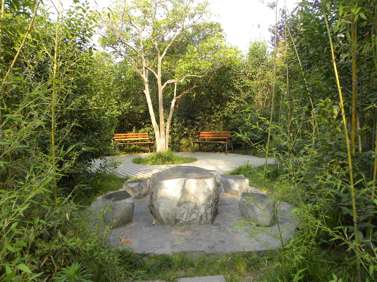 DSCN0885.JPG