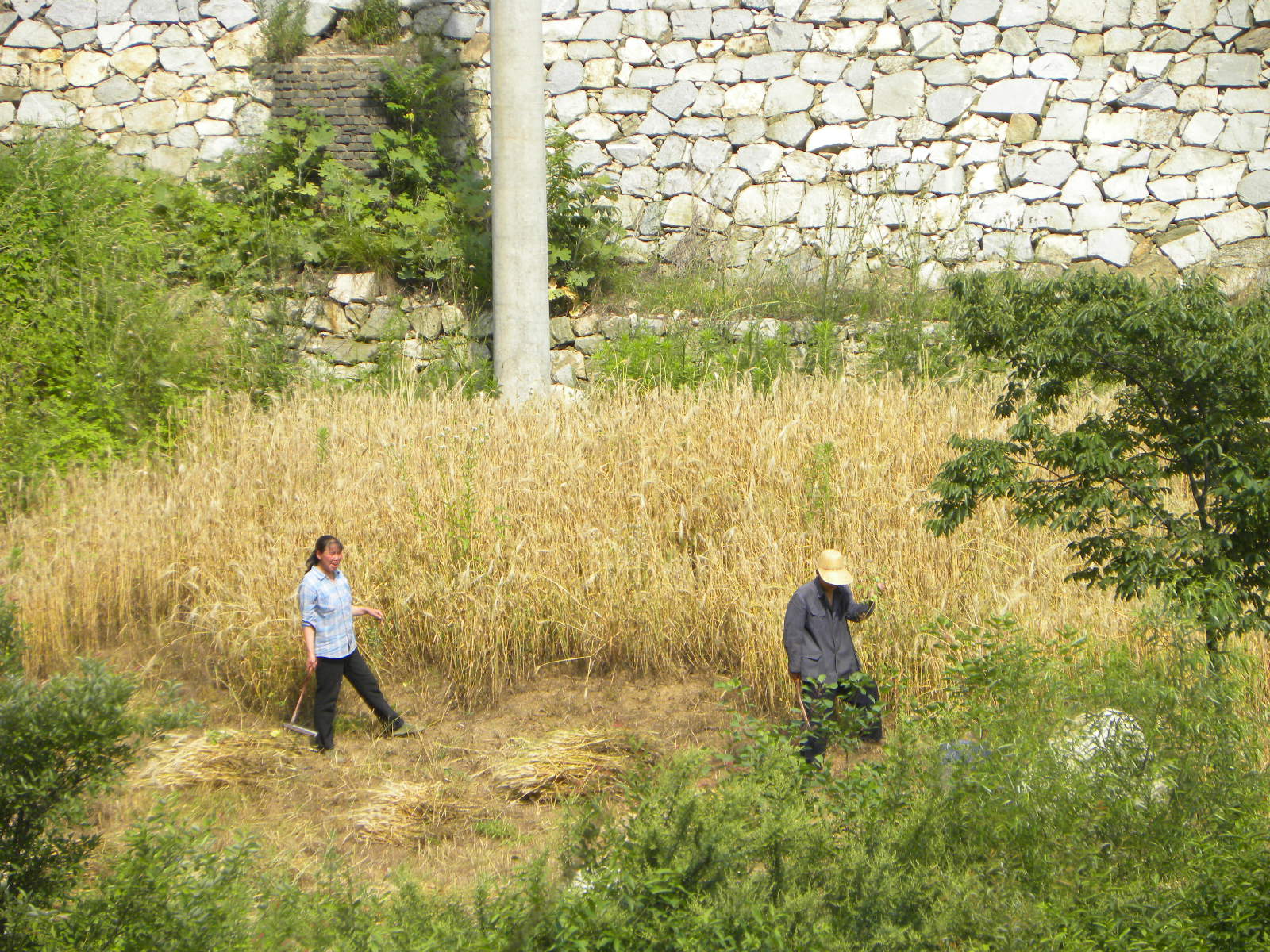 DSCN1157.JPG