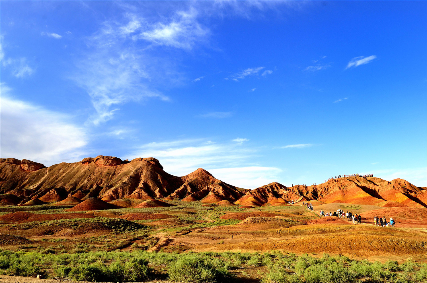 _DSC7909_副本.jpg