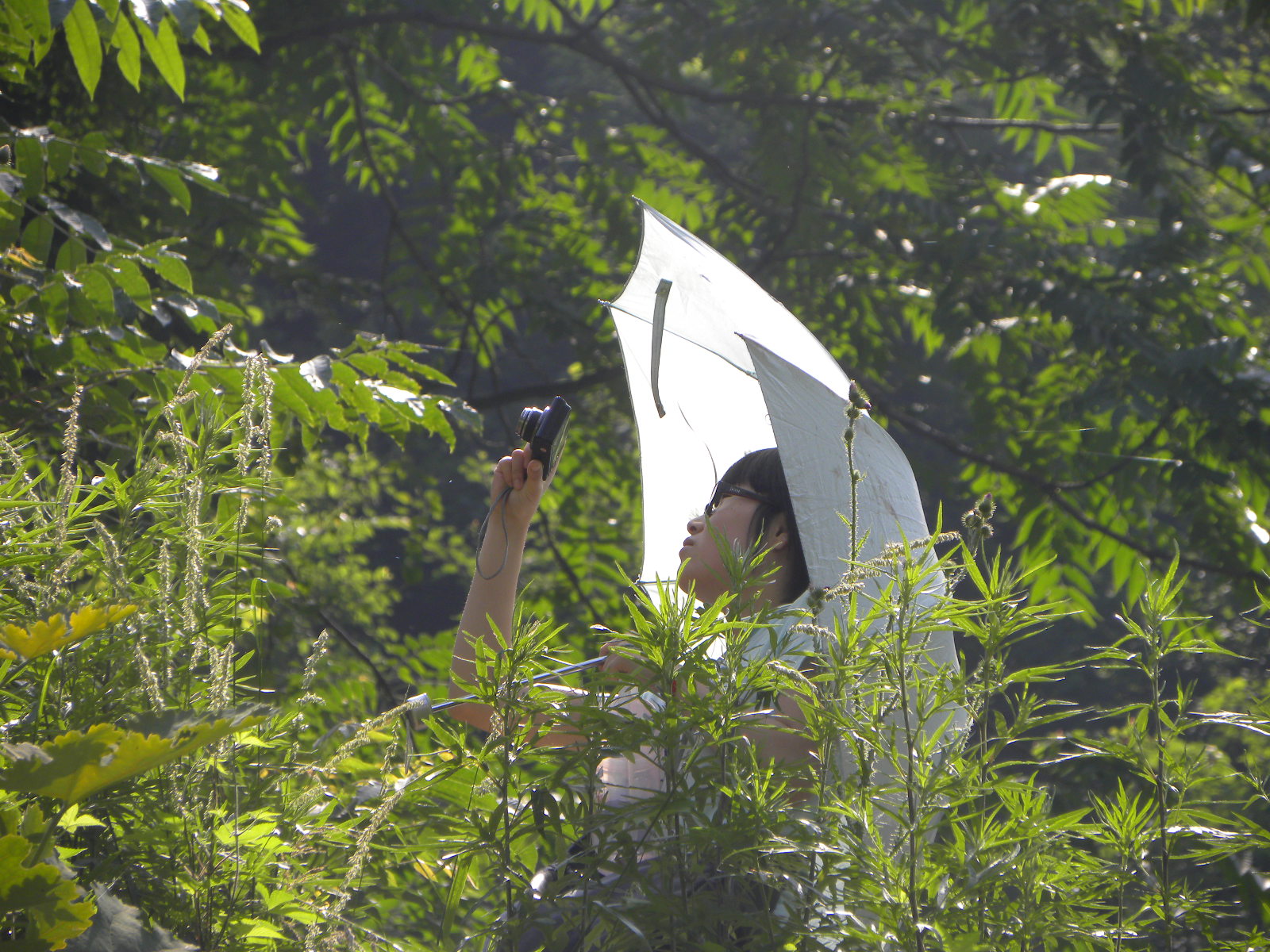 DSCN1212.JPG