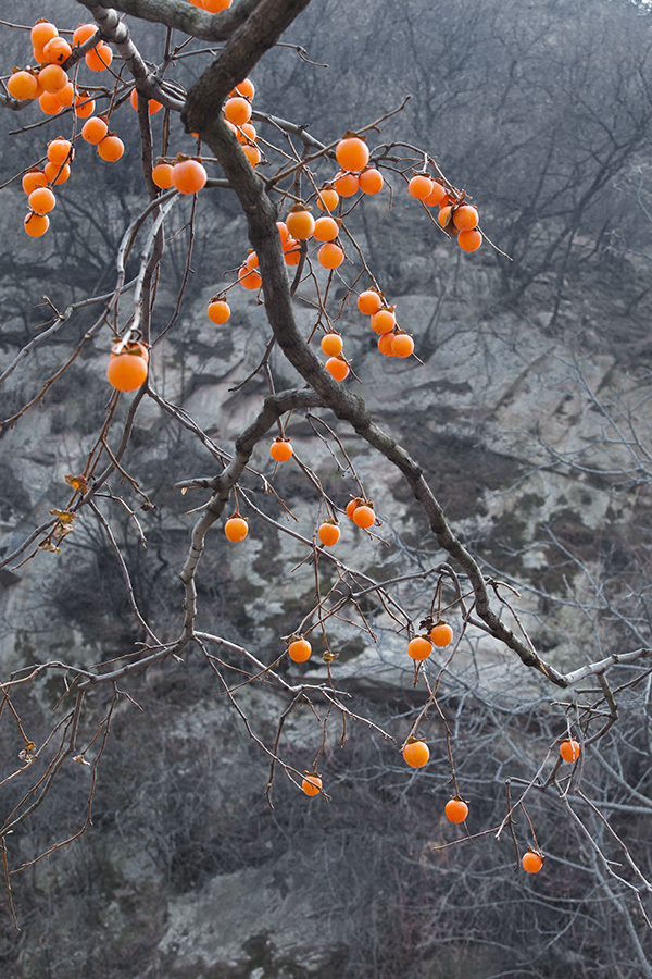 20131221_2607.jpg