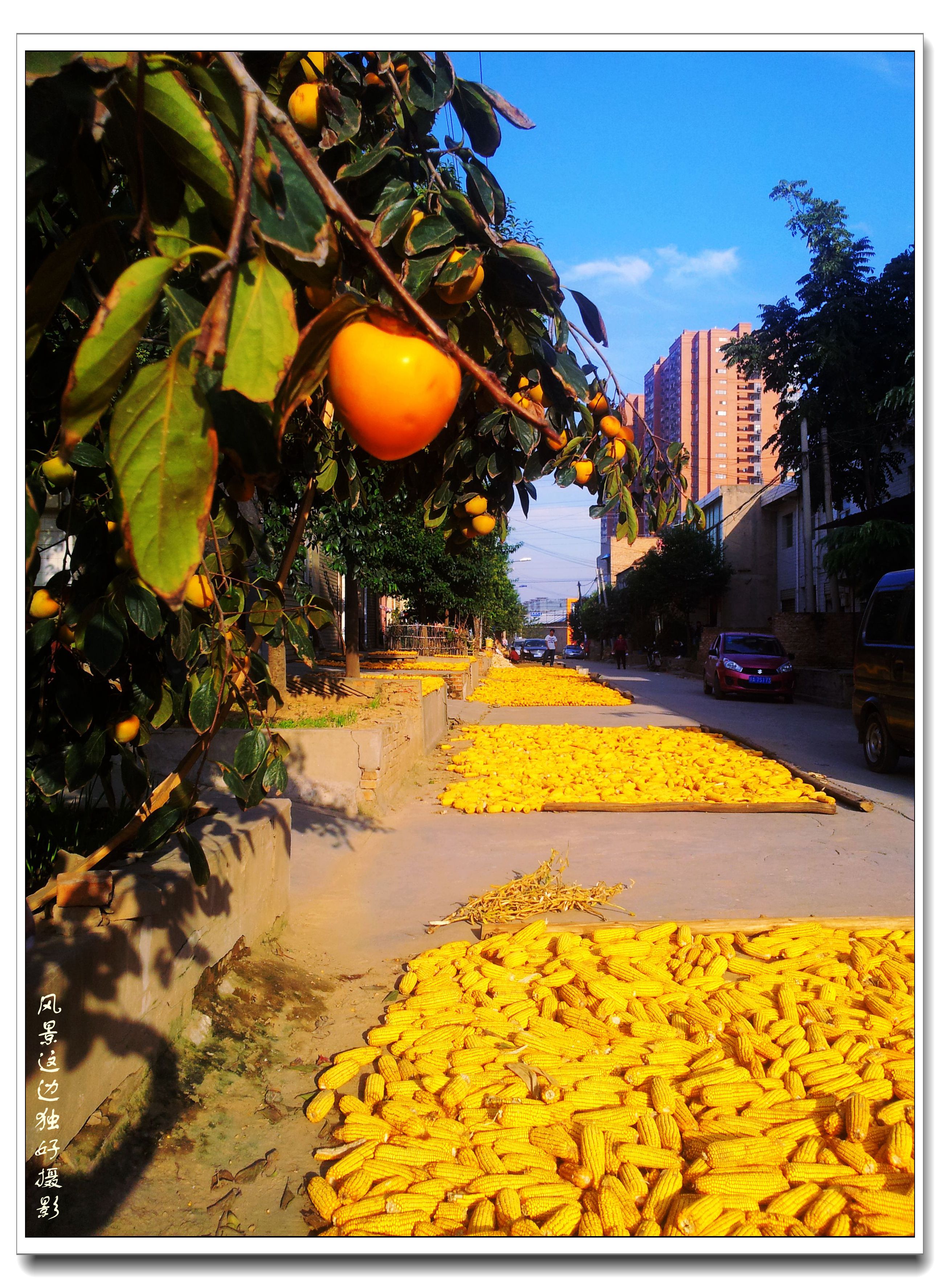 20130927_164421.jpg