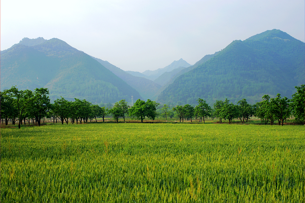 _DSC6729_副本.jpg