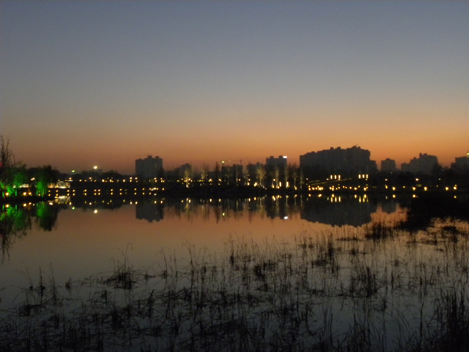 DSCN6593.JPG