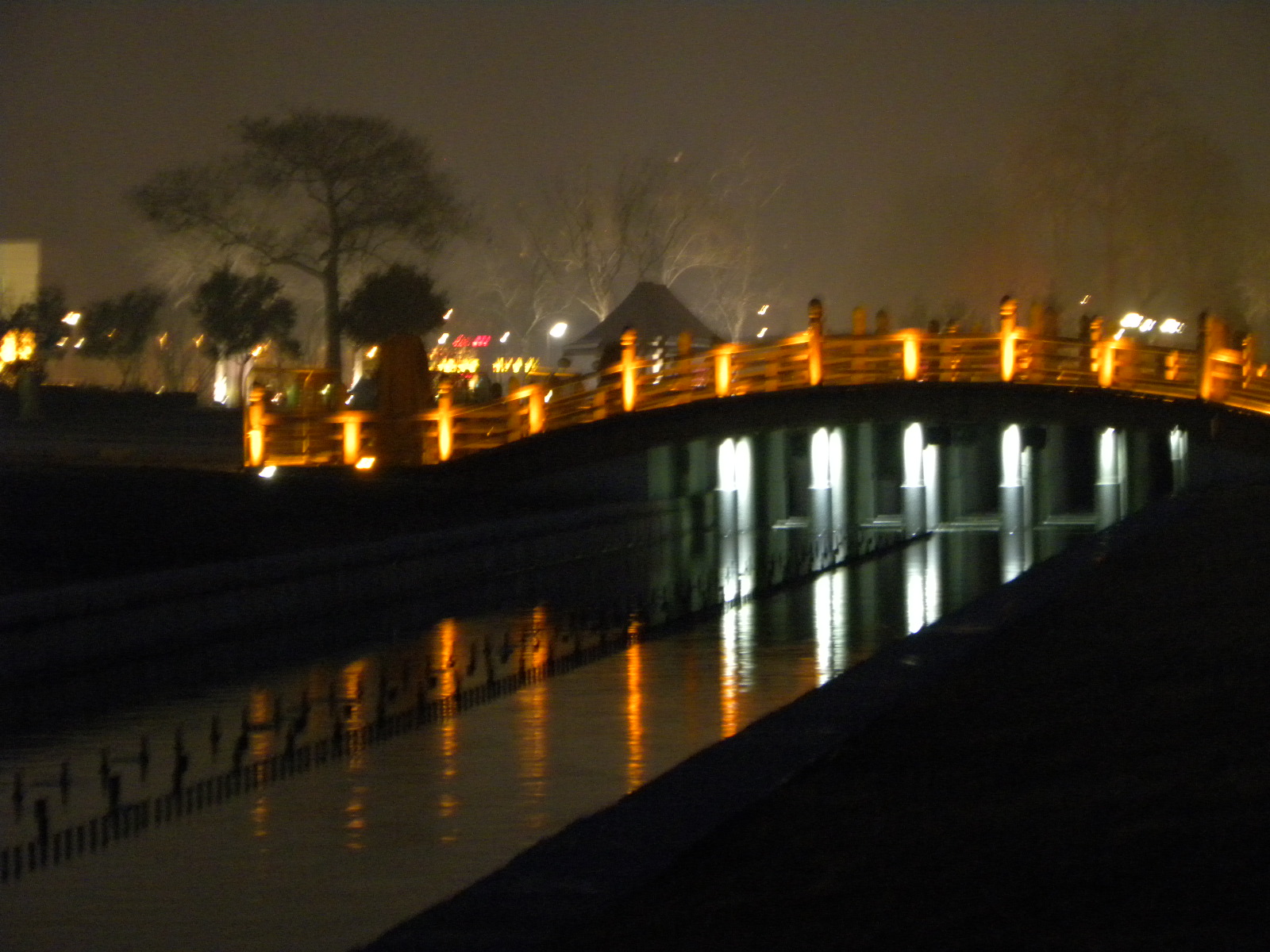 DSCN7592.JPG