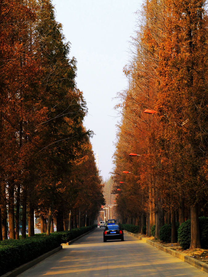 05.JPG