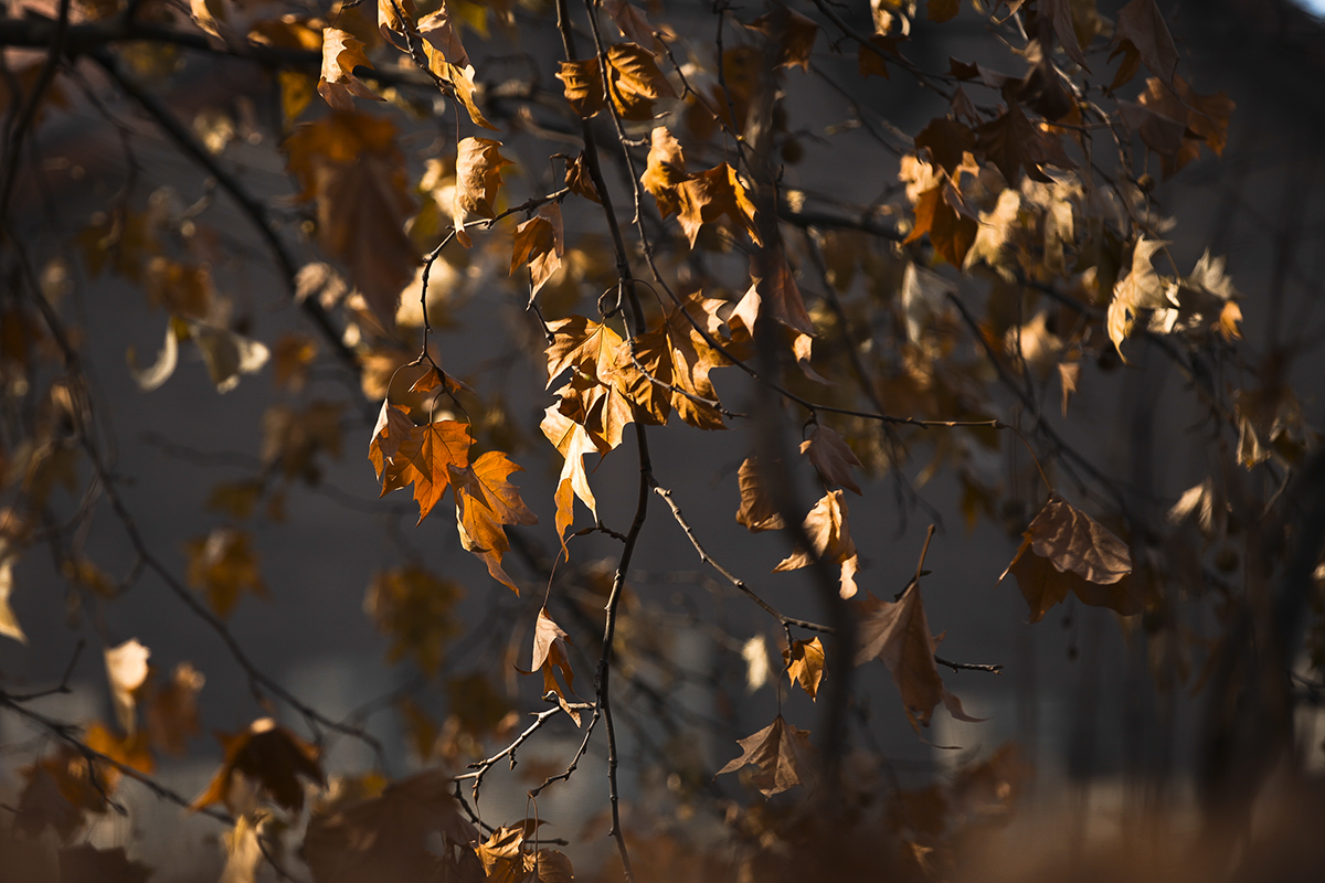 20131228_3396副本.jpg