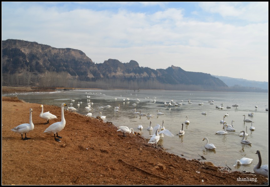 DSC_0738_conew1.jpg