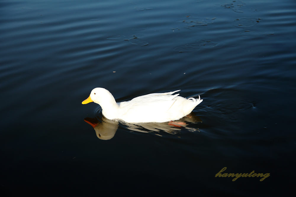 20131231 028-1.jpg