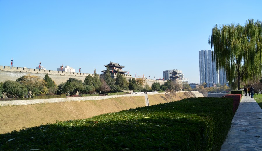 DSC_0328_conew1.jpg