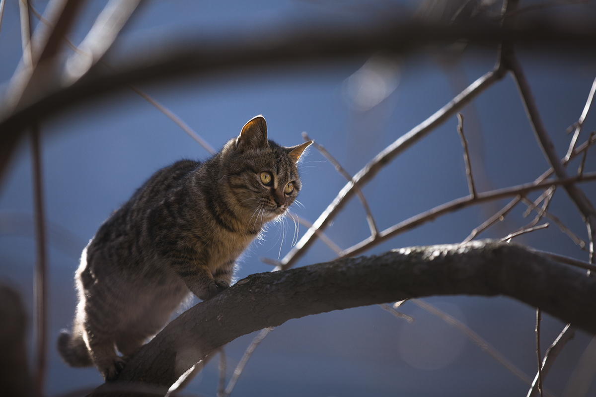 20140104_4085.jpg