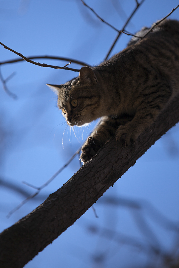 20140104_4059.jpg