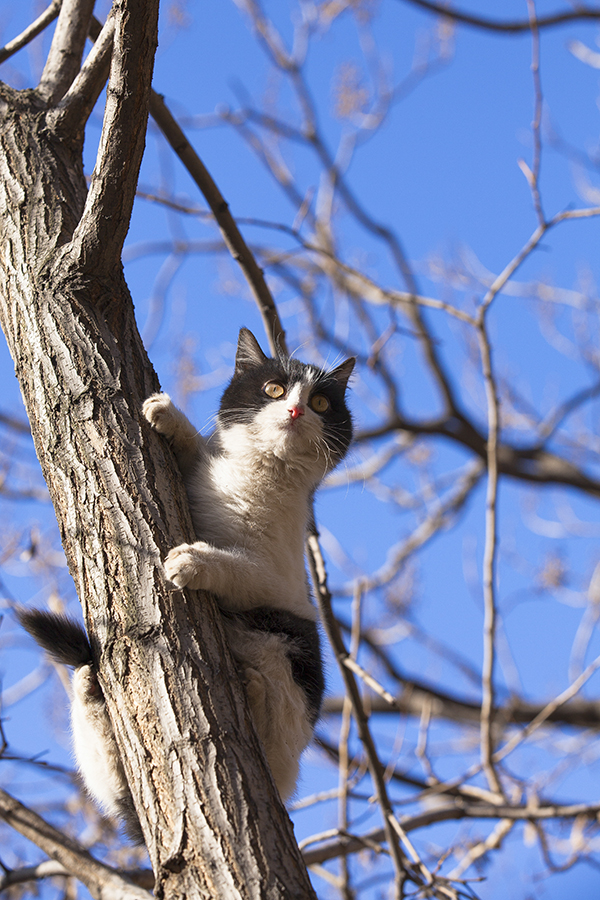 20140104_4115.jpg