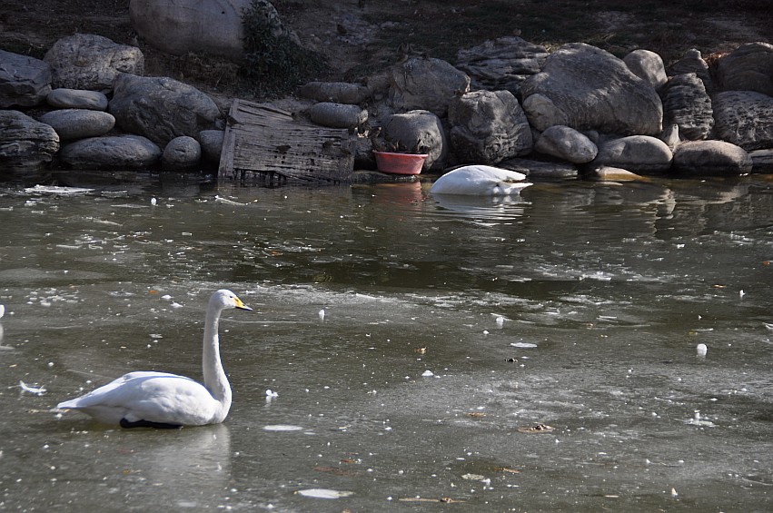 DSC_0074_conew1.jpg