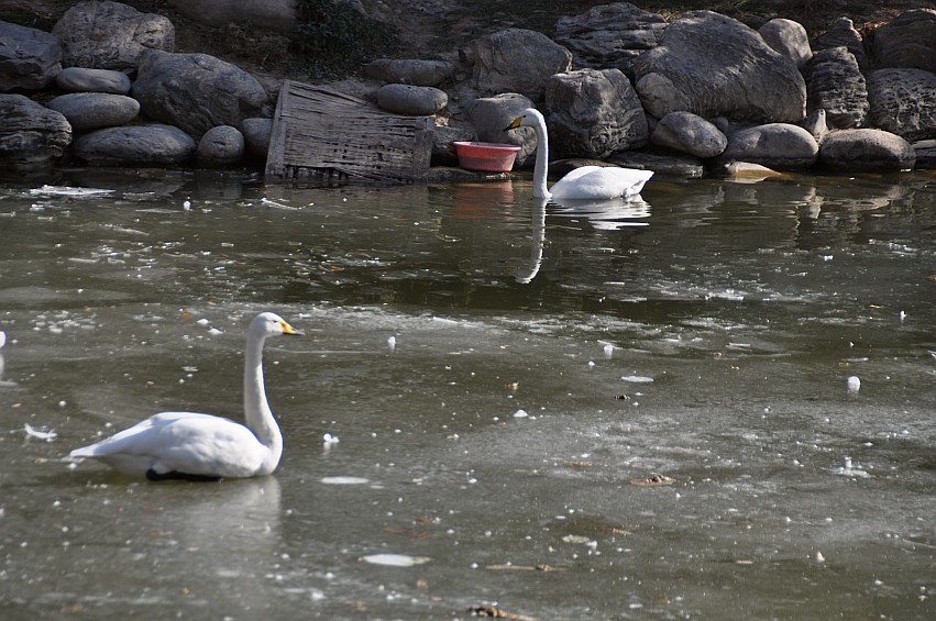 DSC_0075_conew1.jpg