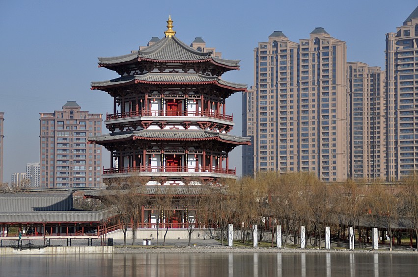 DSC_0082_conew1.jpg