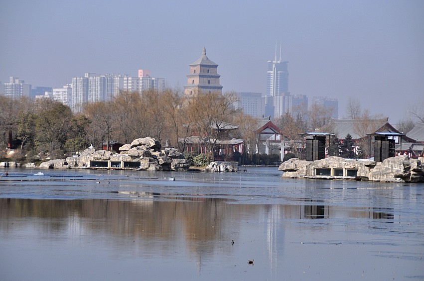 DSC_0083_conew1.jpg