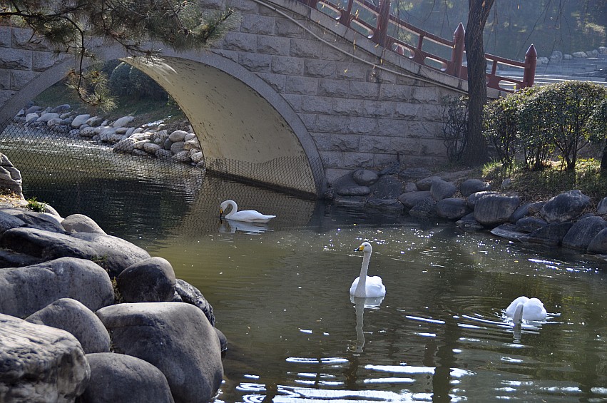 DSC_0087_conew1.jpg