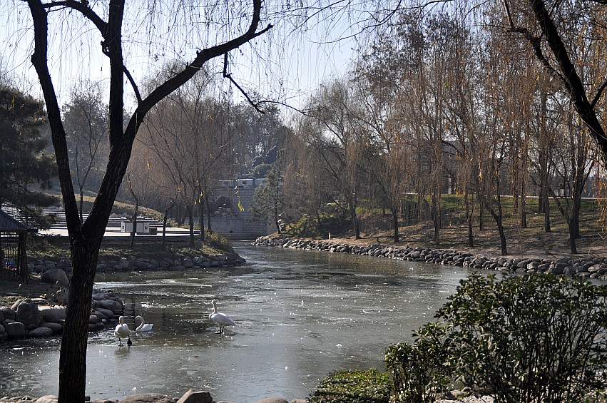 DSC_0090_conew1.jpg