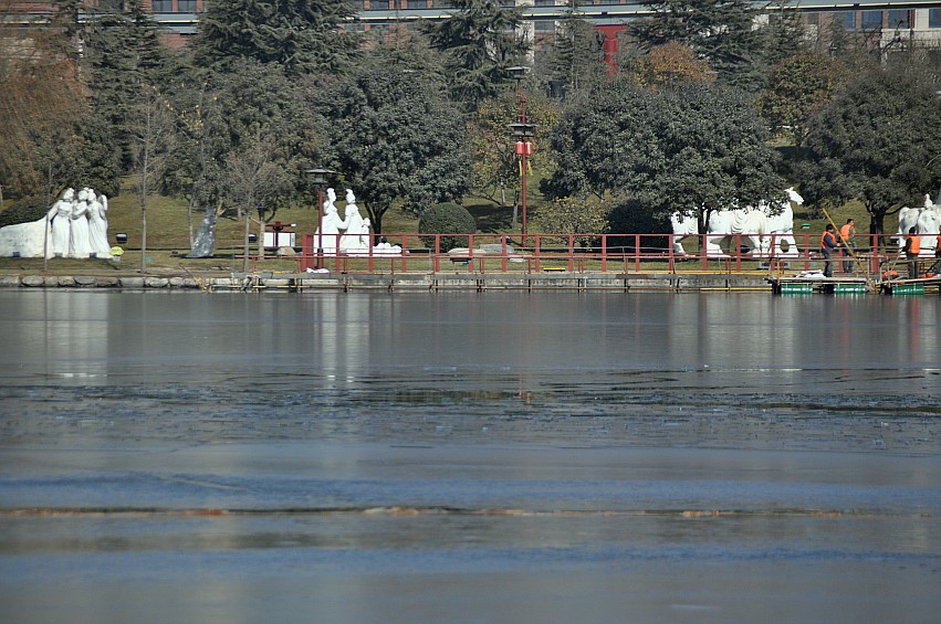 DSC_0096_conew1.jpg