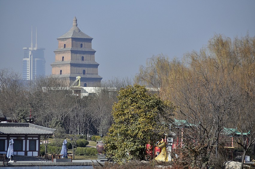 DSC_0097_conew1.jpg