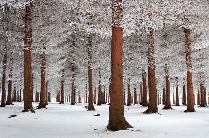 winter-landscapes-2-670x441.jpg