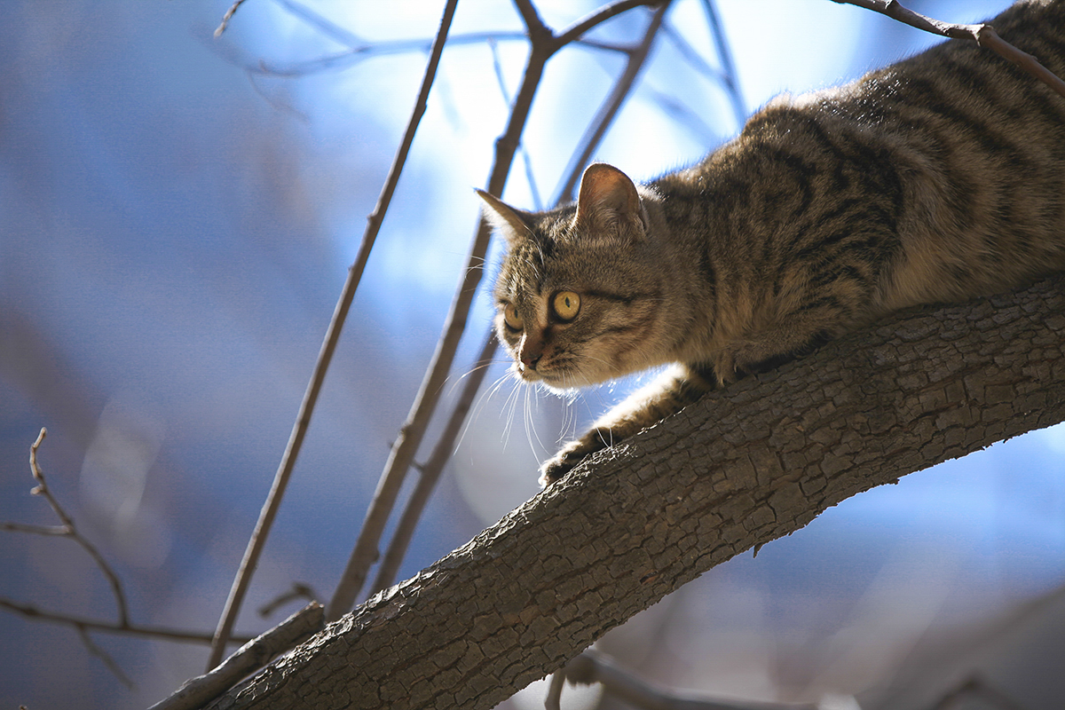 20140104_40631.jpg