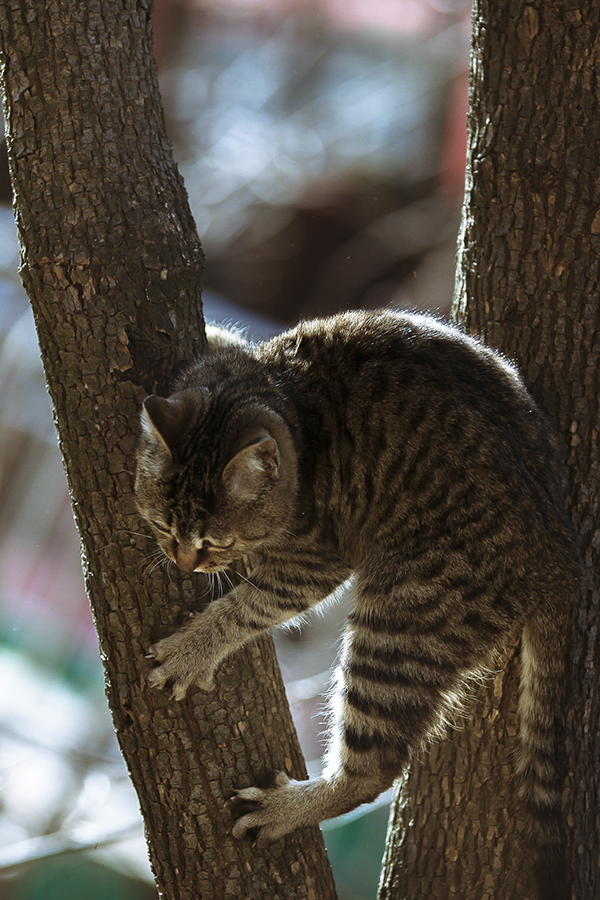 20140104_40831.jpg