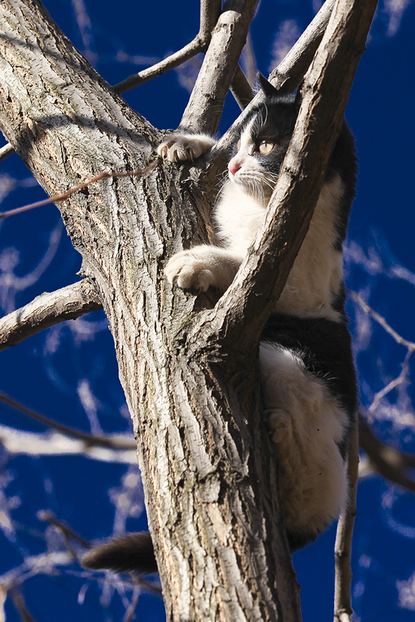 20140104_41081.jpg