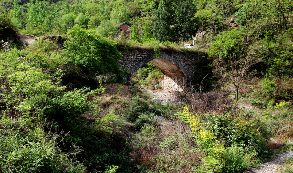 DPP_0011.JPG