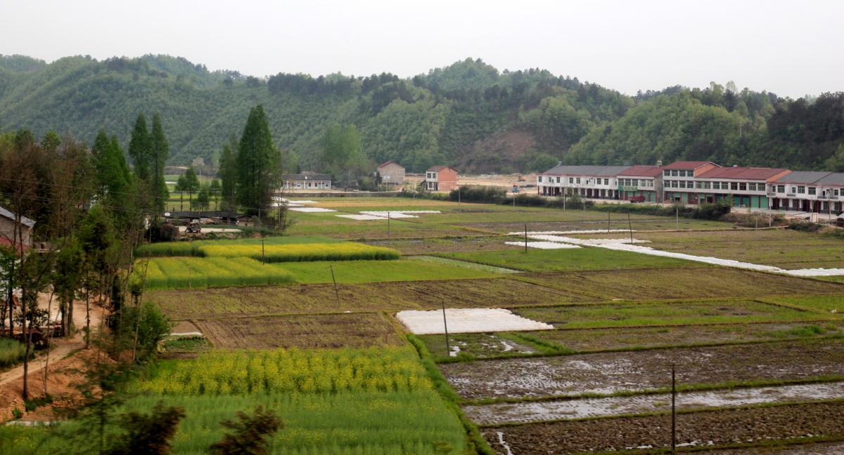 DPP_0013.JPG