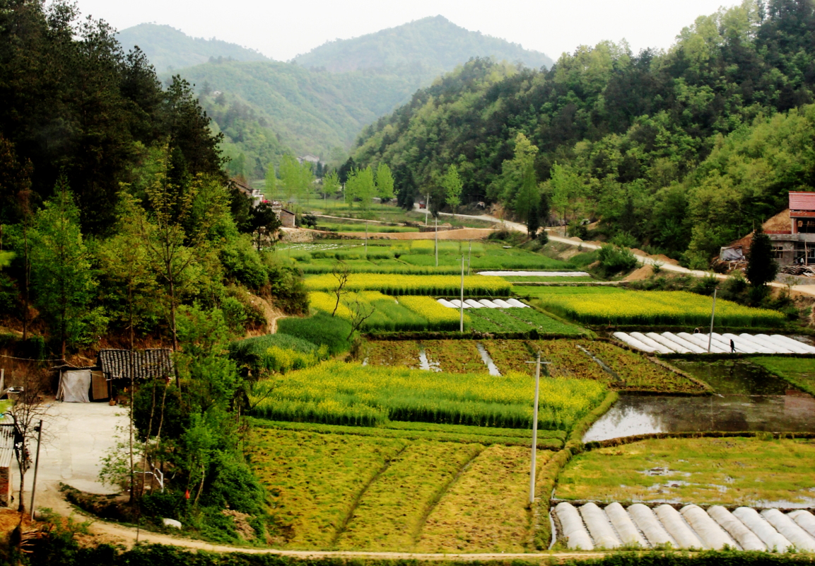 DPP_0016.JPG