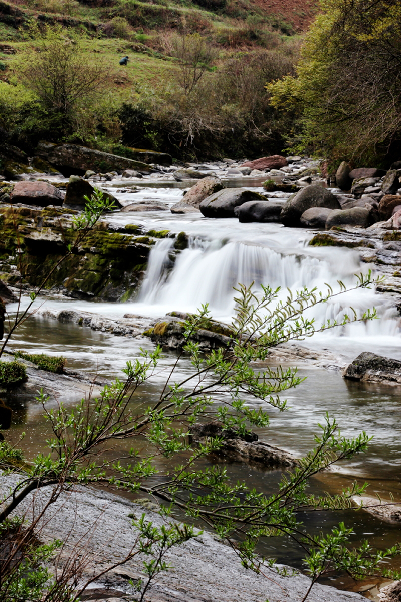 DPP_0019.JPG