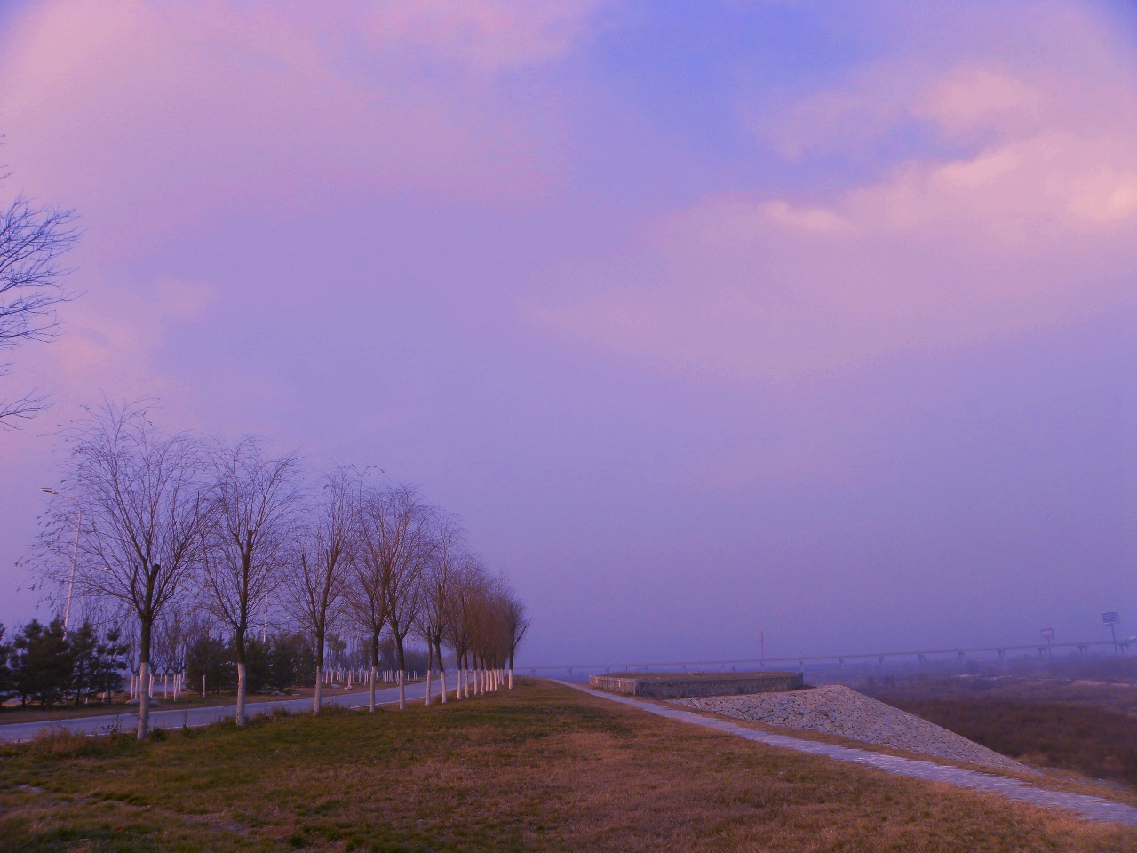 DSCN0763.JPG