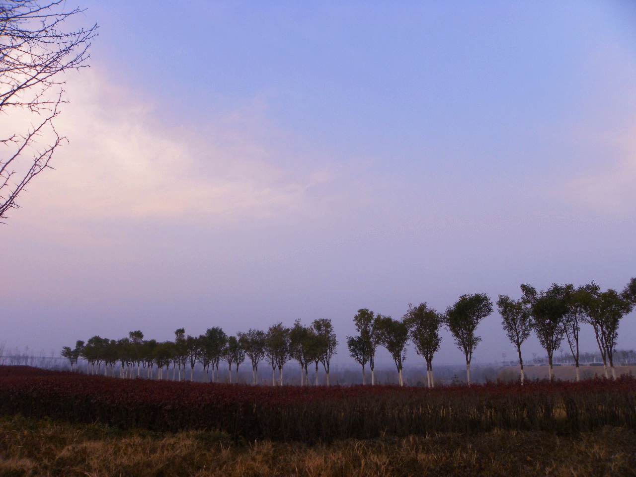 DSCN0806.JPG