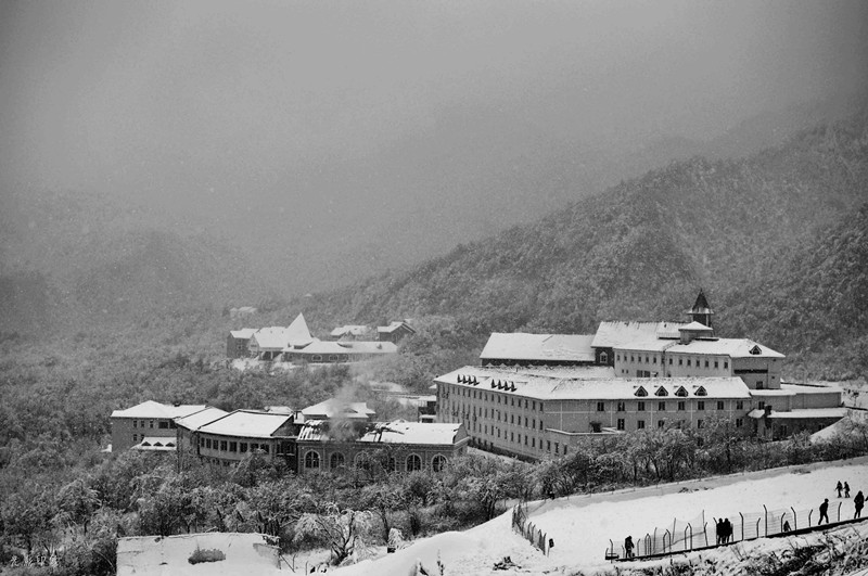 _DSC0156_副本.jpg