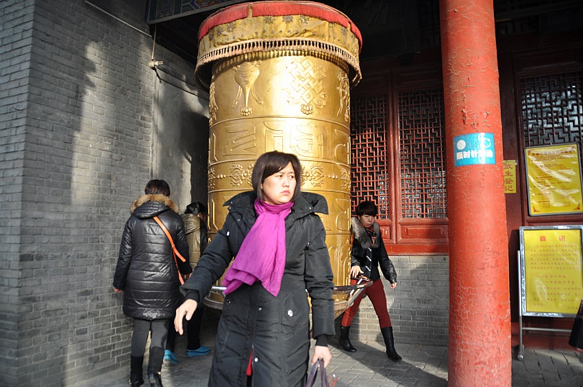 DSC_0031_conew1.jpg
