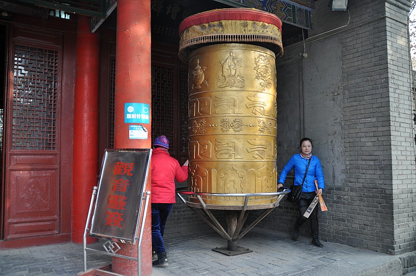 DSC_0032_conew1.jpg