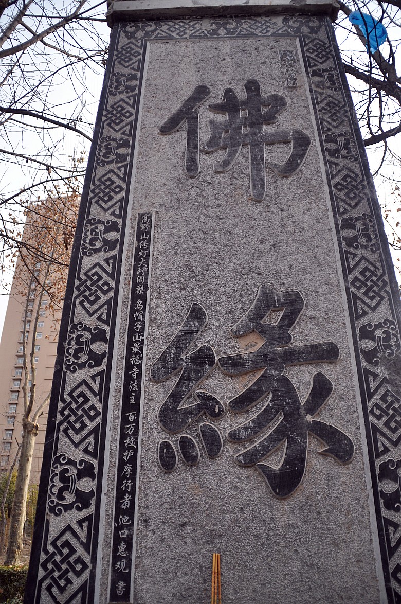 DSC_0049_conew1.jpg