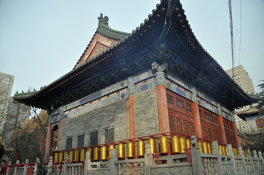 DSC_0051_conew1.jpg